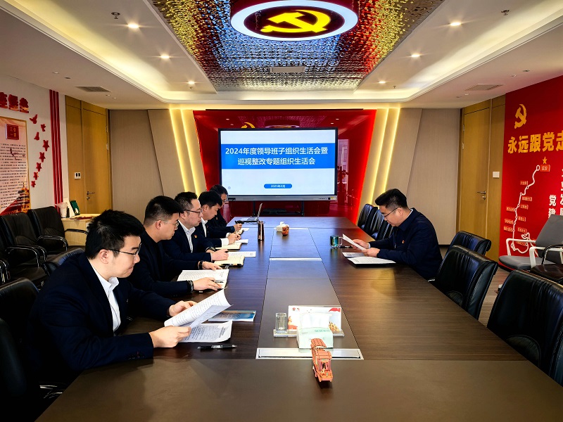 智引公司黨總支召開2024年度領導班子組織生活會暨巡視整改專題組織生活會