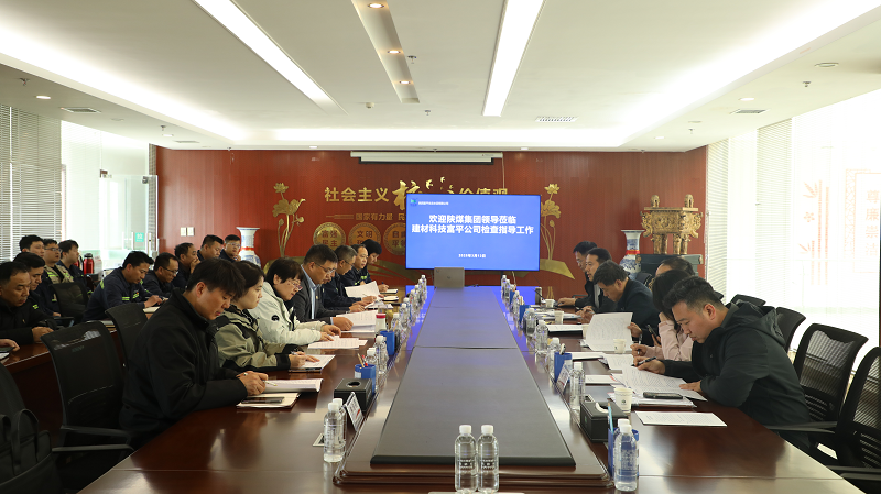 陜煤集團安全環保監察部經理王西才一行到富平公司開展環保專項檢查