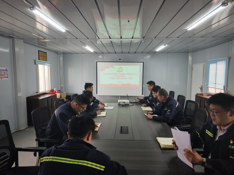 韓城昇隆公司黨支部開展“同心筑夢(mèng)譜新篇 凝心聚力共提升” 三月主題黨日活動(dòng)